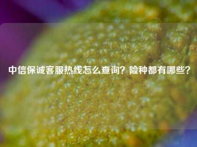 中信保诚客服热线怎么查询？险种都有哪些？