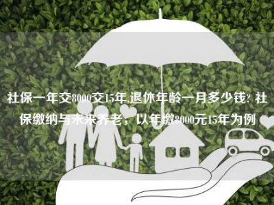 社保一年交8000交15年,退休年龄一月多少钱? 社保缴纳与未来养老，以年缴8000元15年为例