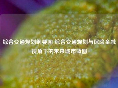 综合交通规划纲要图 综合交通规划与保险金融视角下的未来城市蓝图