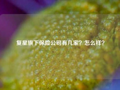 复星旗下保险公司有几家？怎么样？