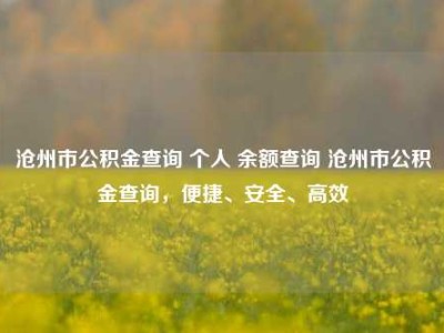 沧州市公积金查询 个人 余额查询 沧州市公积金查询，便捷、安全、高效