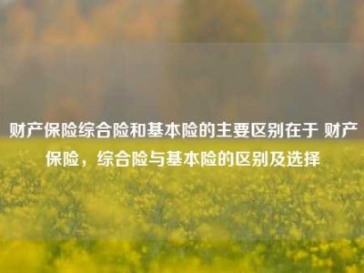 财产保险综合险和基本险的主要区别在于 财产保险，综合险与基本险的区别及选择