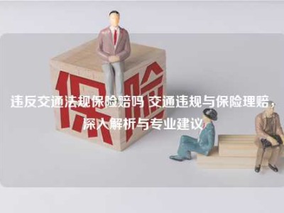 违反交通法规保险赔吗 交通违规与保险理赔，深入解析与专业建议