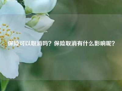 保险可以取消吗？保险取消有什么影响呢？