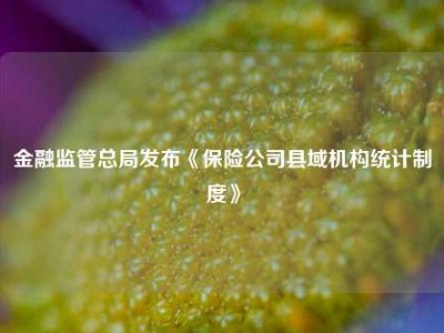 金融监管总局发布《保险公司县域机构统计制度》