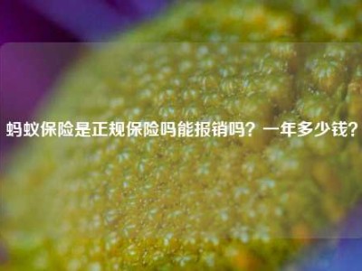 蚂蚁保险是正规保险吗能报销吗？一年多少钱？