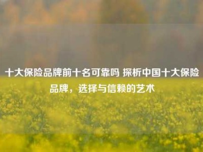 十大保险品牌前十名可靠吗 探析中国十大保险品牌，选择与信赖的艺术