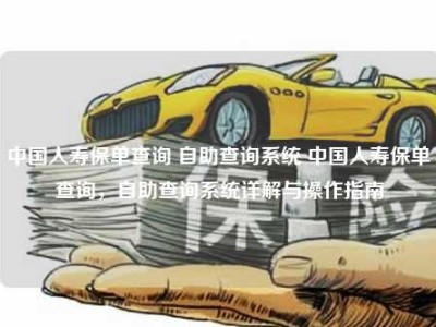 中国人寿保单查询 自助查询系统 中国人寿保单查询，自助查询系统详解与操作指南