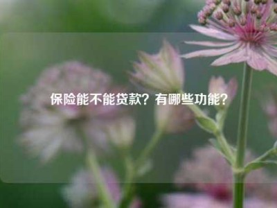 保险能不能贷款？有哪些功能？