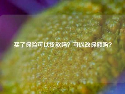 买了保险可以贷款吗？可以改保额吗？