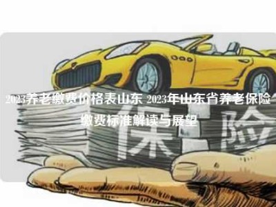 2023养老缴费价格表山东 2023年山东省养老保险缴费标准解读与展望