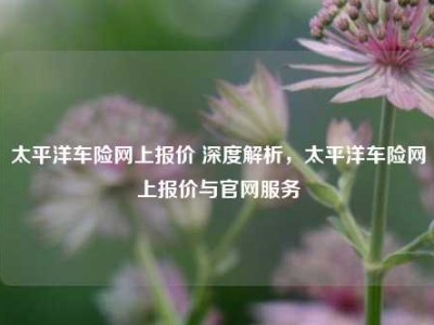 太平洋车险网上报价 深度解析，太平洋车险网上报价与官网服务