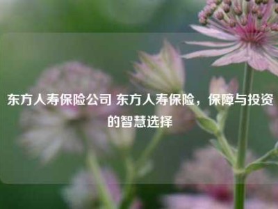 东方人寿保险公司 东方人寿保险，保障与投资的智慧选择