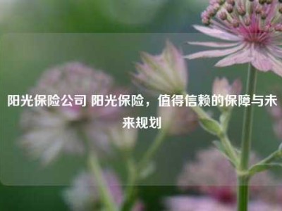 阳光保险公司 阳光保险，值得信赖的保障与未来规划