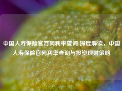 中国人寿保险官方网利率查询 深度解读，中国人寿保险官网利率查询与投资理财策略