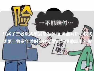 只买了三者没买车损险怎么赔 全面解析，仅购买第三者责任险时的理赔策略与保障需求分析