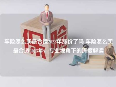 车险怎么买最合适2023年涨价了吗 车险怎么买最合适2023年，专业视角下的深度解读