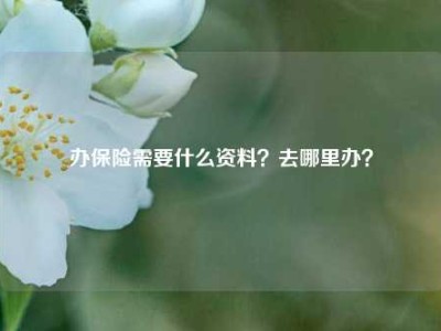 办保险需要什么资料？去哪里办？