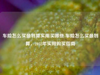 车险怎么买最划算实用买哪些 车险怎么买最划算，2022年实用购买指南