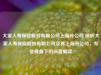 大家人寿保险股份有限公司上海分公司 探析大家人寿保险股份有限公司及其上海分公司，专业视角下的深度解读