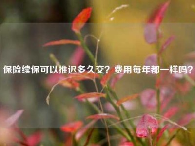 保险续保可以推迟多久交？费用每年都一样吗？