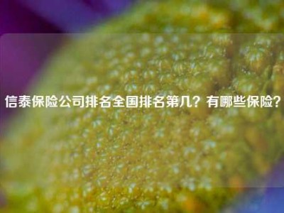 信泰保险公司排名全国排名第几？有哪些保险？