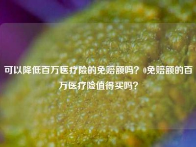 可以降低百万医疗险的免赔额吗？0免赔额的百万医疗险值得买吗？