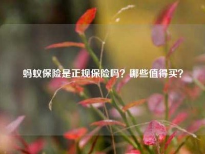 蚂蚁保险是正规保险吗？哪些值得买？