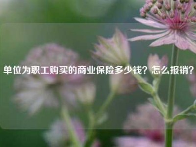 单位为职工购买的商业保险多少钱？怎么报销？