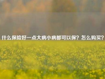 什么保险好一点大病小病都可以保？怎么购买？