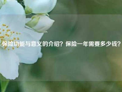 保险功能与意义的介绍？保险一年需要多少钱？