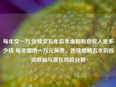 每年交一万,连续交五年后本金和利息收入是多少钱 每年缴纳一万元保费，连续缴纳五年的投资收益与潜在风险分析