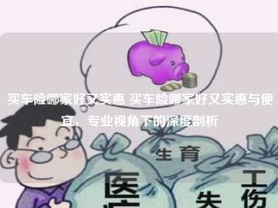 买车险哪家好又实惠 买车险哪家好又实惠与便宜，专业视角下的深度剖析