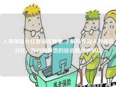 人寿保险分红查询在哪里 了解与查询人寿保险分红，如何确保您的投资收益透明化