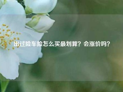 出过险车险怎么买最划算？会涨价吗？