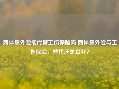 团体意外险能代替工伤保险吗 团体意外险与工伤保险，替代还是互补？