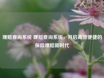 理赔查询系统 理赔查询系统，开启高效便捷的保险理赔新时代