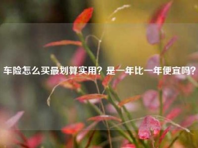 车险怎么买最划算实用？是一年比一年便宜吗？