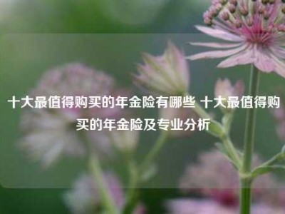 十大最值得购买的年金险有哪些 十大最值得购买的年金险及专业分析