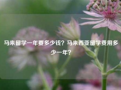 马来留学一年要多少钱？马来西亚留学费用多少一年？