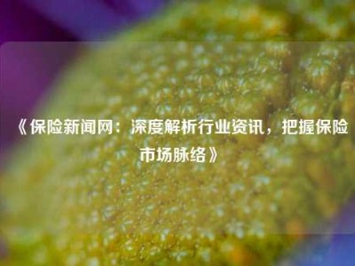 《保险新闻网：深度解析行业资讯，把握保险市场脉络》