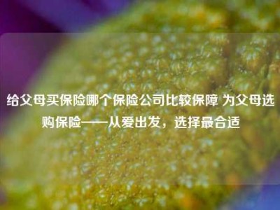 给父母买保险哪个保险公司比较保障 为父母选购保险——从爱出发，选择最合适