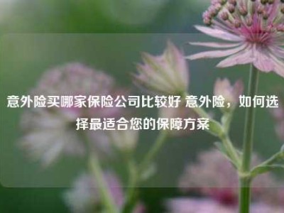 意外险买哪家保险公司比较好 意外险，如何选择最适合您的保障方案