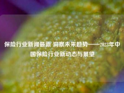 保险行业新闻最新 洞察未来趋势——2023年中国保险行业新动态与展望