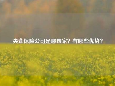 央企保险公司是哪四家？有哪些优势？