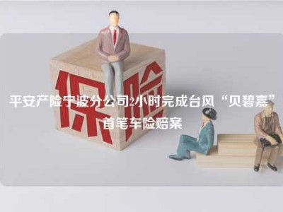 平安产险宁波分公司2小时完成台风“贝碧嘉”首笔车险赔案