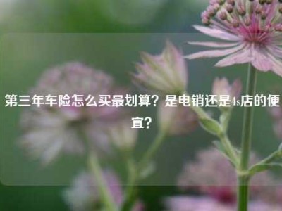 第三年车险怎么买最划算？是电销还是4s店的便宜？