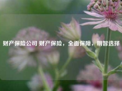 财产保险公司 财产保险，全面保障，明智选择