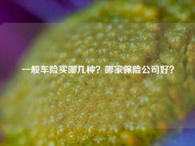 一般车险买哪几种？哪家保险公司好？