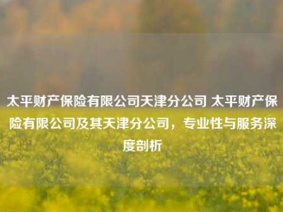 太平财产保险有限公司天津分公司 太平财产保险有限公司及其天津分公司，专业性与服务深度剖析